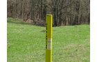 Property photo 2 - 137 Acres in 2 Tracts - 64 Tillable Acres, Potential Building Sites, Hunting